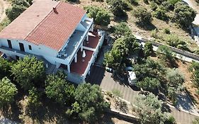 Apartment Gligora